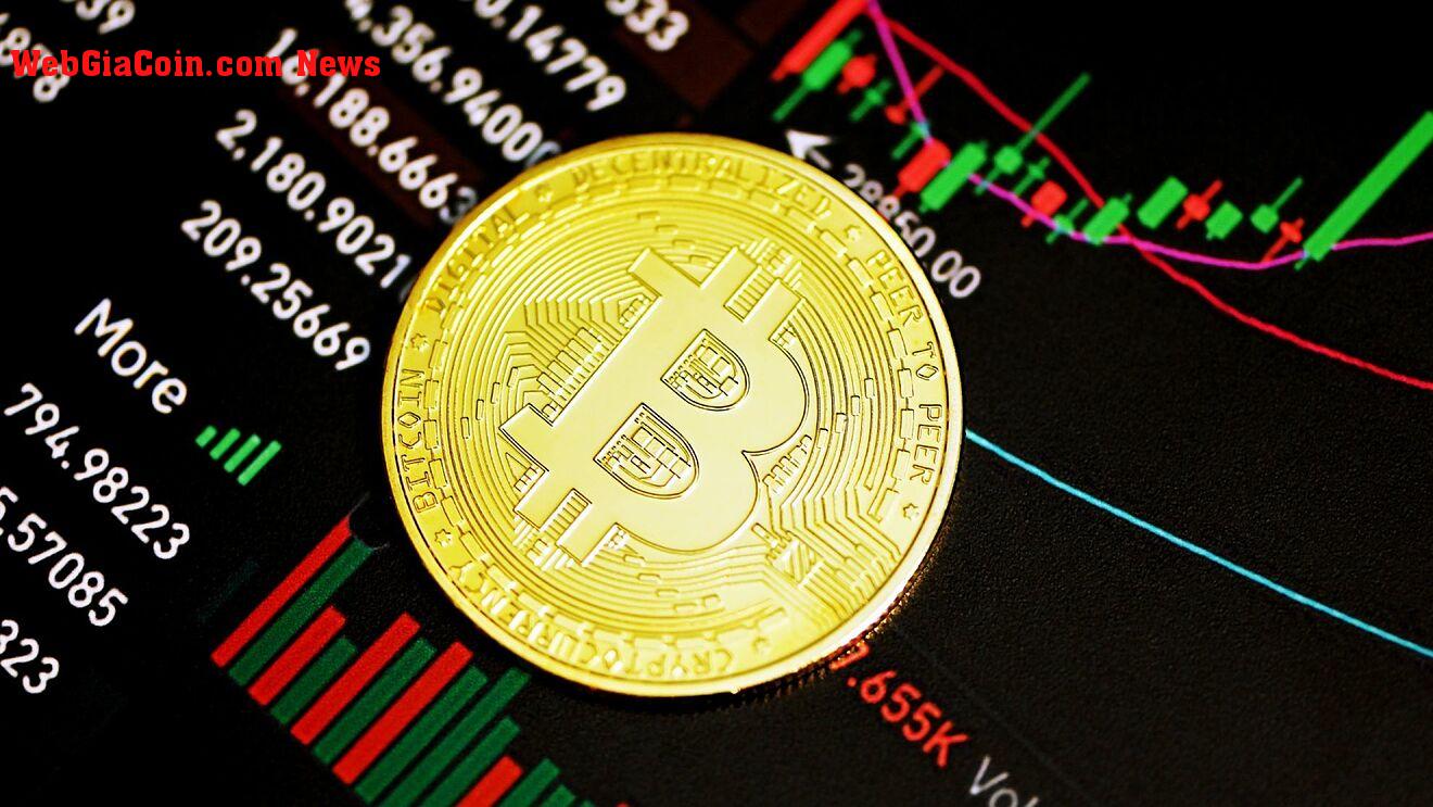 Bitcoin giảm giá sau khi xem lại June Lows, đáy nằm ở đâu?