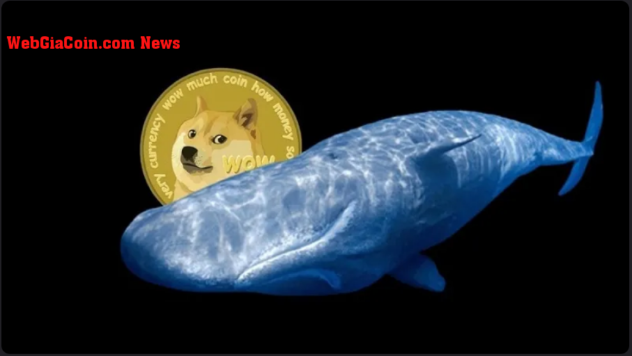 Dogecoin (DOGE) trên menu Top Of whales - Đây là lý do tại sao