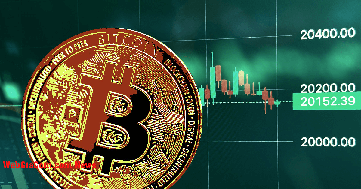 Bitcoin lấy lại 20.000 đô la thúc đẩy suy đoán về lợi nhuận của thị trường tăng giá