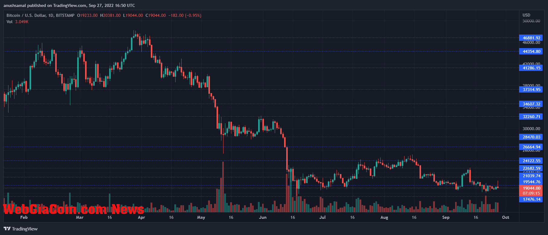 Bitcoin Price