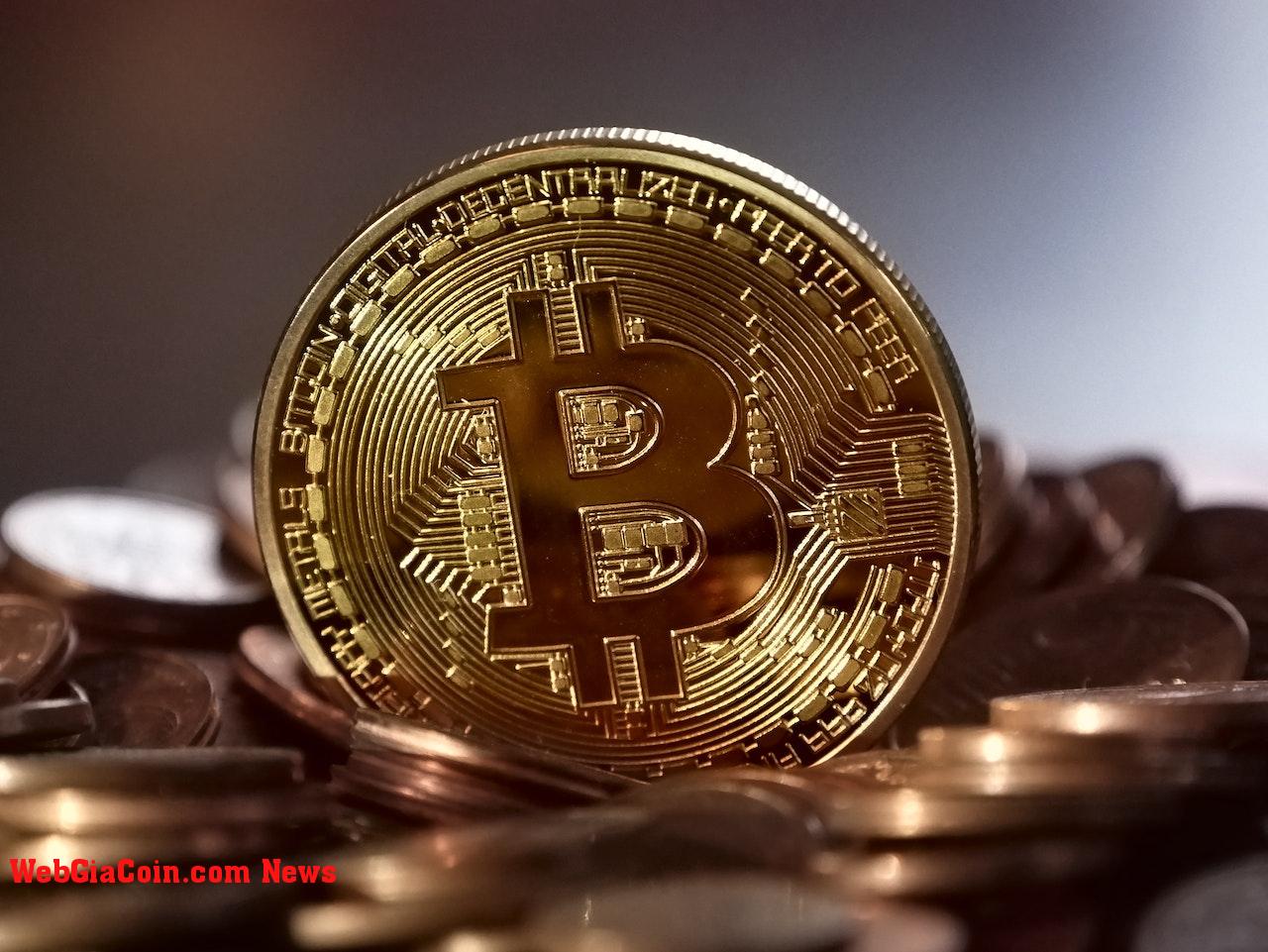 Giá Bitcoin kháng cự 20.000 đô la, liệu người mua có mất hút một lần nữa?