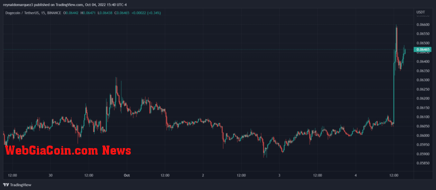 Dogecoin DOGE DOGEUSDT Elon Musk Chart 2