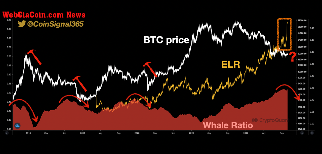 Bitcoin Exchange Whale Ratio