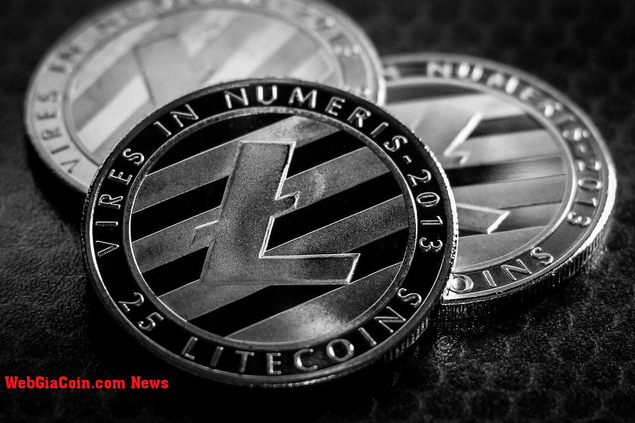 Các nhà đầu tư Litecoin phải đối mặt với tình thế tiến thoái lưỡng nan trước khi đột phá, liệu giá sẽ lên đến 60 đô la?