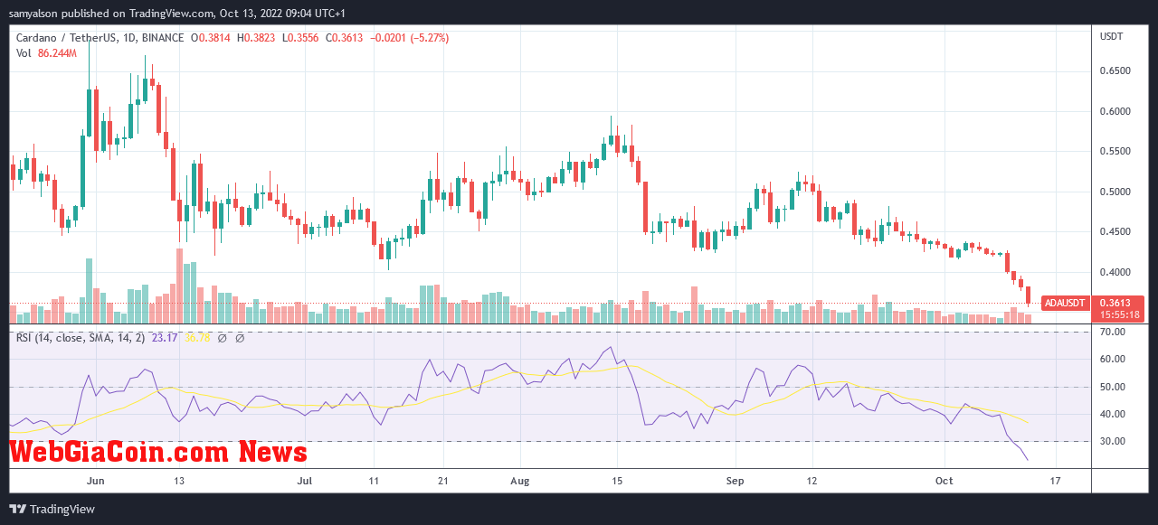 Cardano daily chart