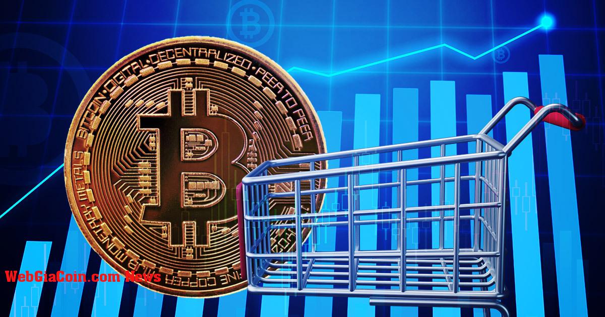 Bitcoin giảm 3% khi dữ liệu tiết lộ báo cáo CPI nóng hơn dự kiến