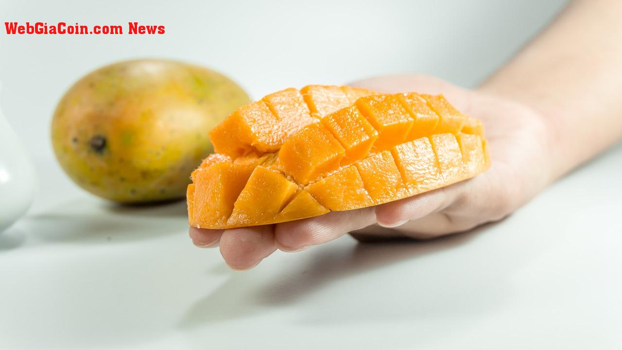 Mango Madness: Kẻ khai thác có thể bỏ đi với Bounty con bọ vô song khoảng 50 triệu đô la