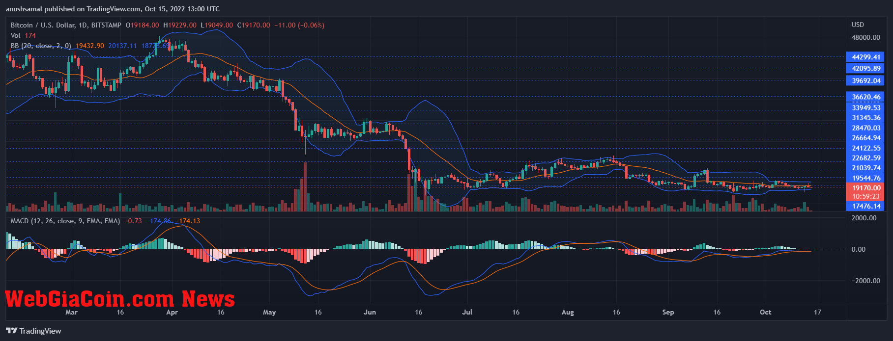 Bitcoin Price