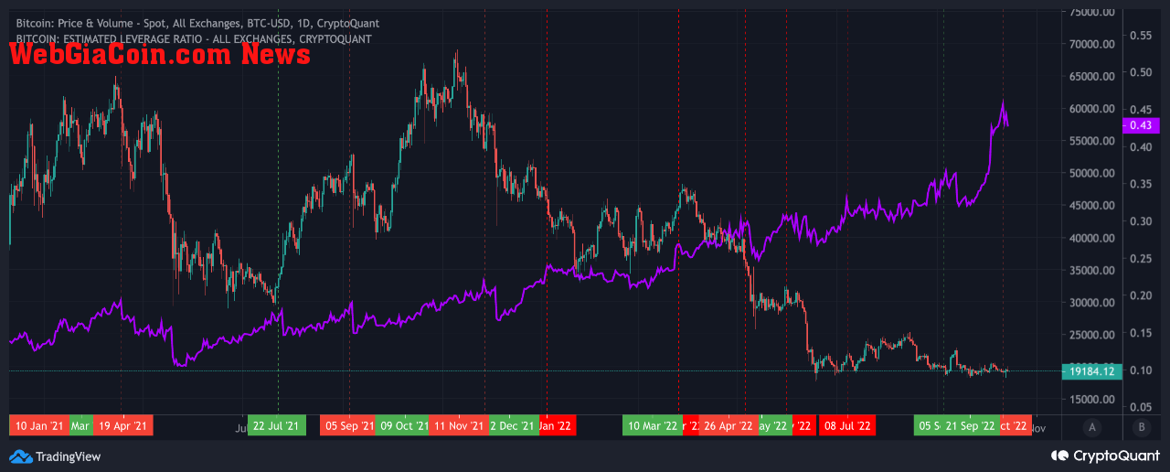 Bitcoin Leverage Ratio