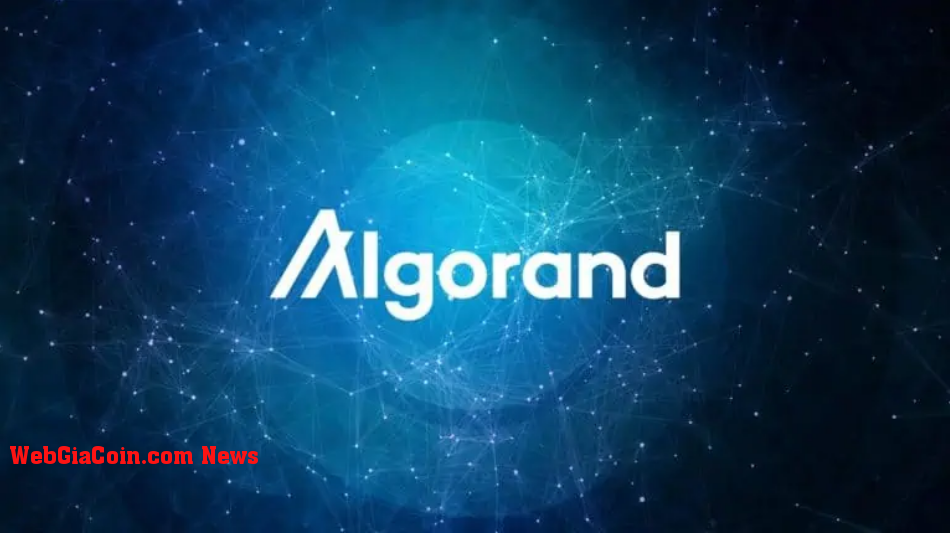 Algorand Hoạt động xã hội đạt 13 triệu - Đã đến lúc mua ALGO?