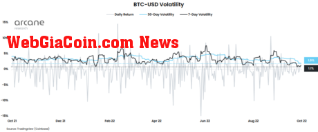 Bitcoin Volatility 