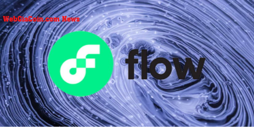 Flow tung ra các công cụ blockchain khi sự thống trị xã hội của nó được cải thiện