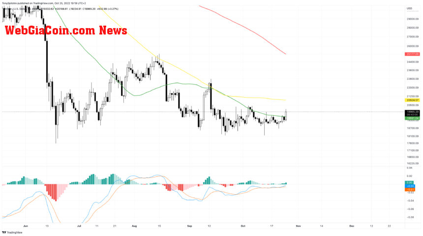 BTCUSD_2022-10-25_13-19-55