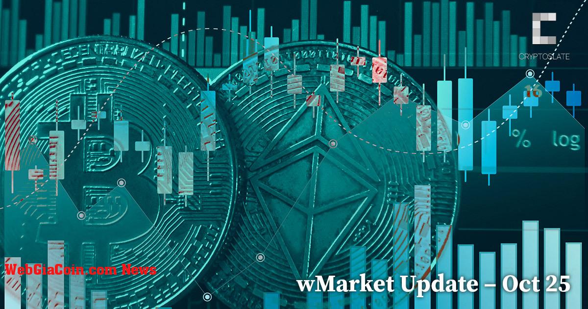 CryptoSlate Cập nhật wMarket hàng ngày - Ngày 25 tháng 10: Ethereum dẫn đầu mức tăng khi Bitcoin vượt $ 20k