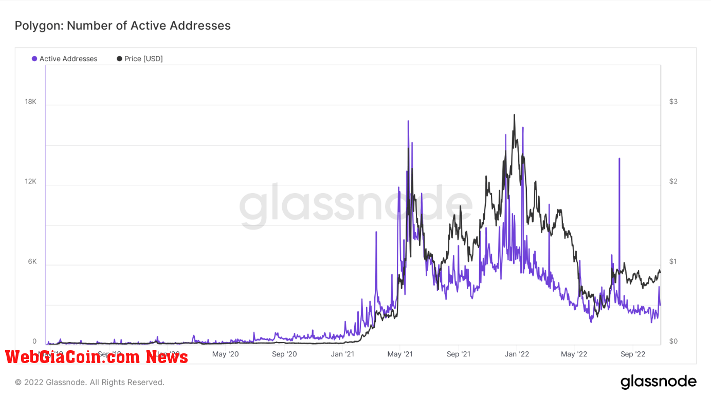 polygon active addresses