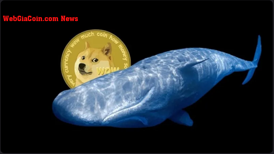 Dogecoin (DOGE) bị Cá voi thao túng? a Xem thường / giao dịch trên