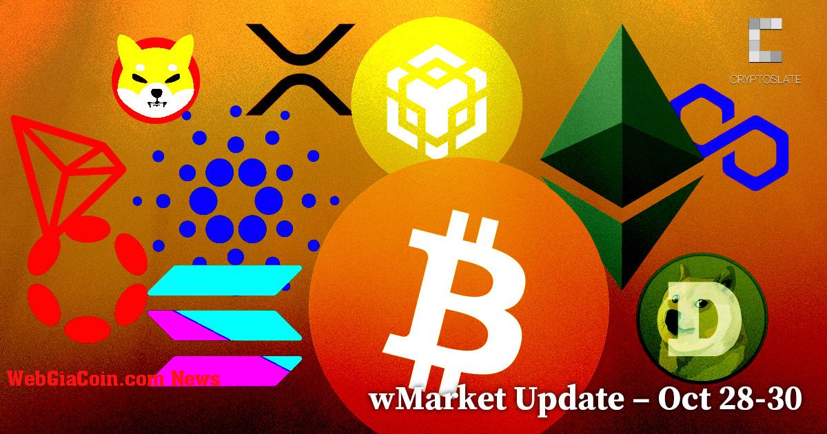 CryptoSlate Cập nhật wMarket hàng ngày - 28-30 tháng 10: Hiệu suất hỗn hợp chứng kiến BNB dẫn đầu về giới hạn lớn