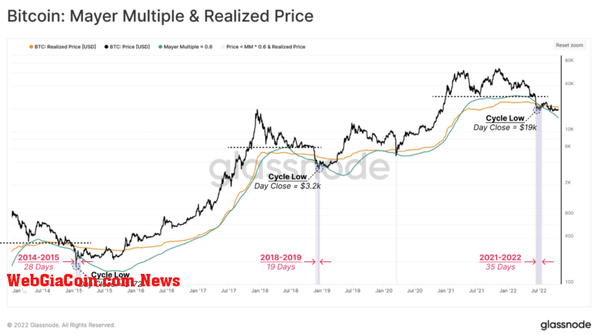 Bitcoin mayer multiple