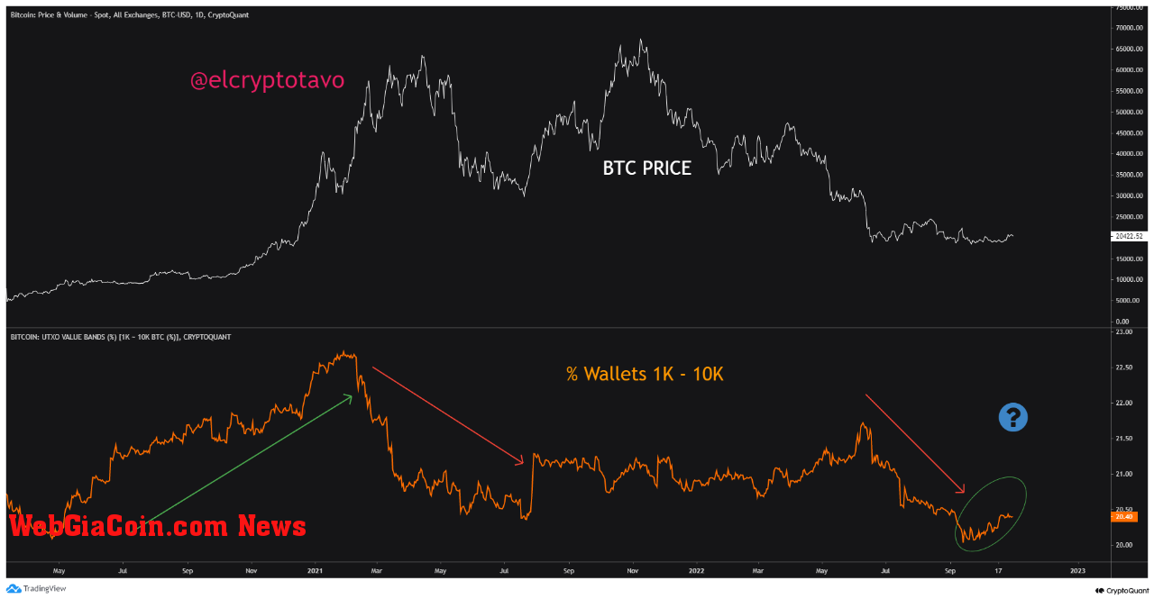 Bitcoin Whales Accumulation