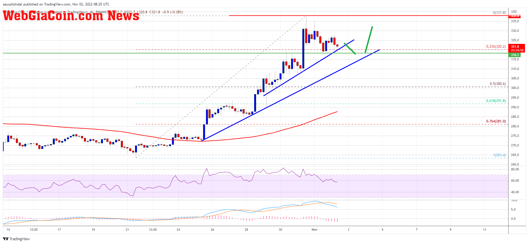 Binance Coin Price 