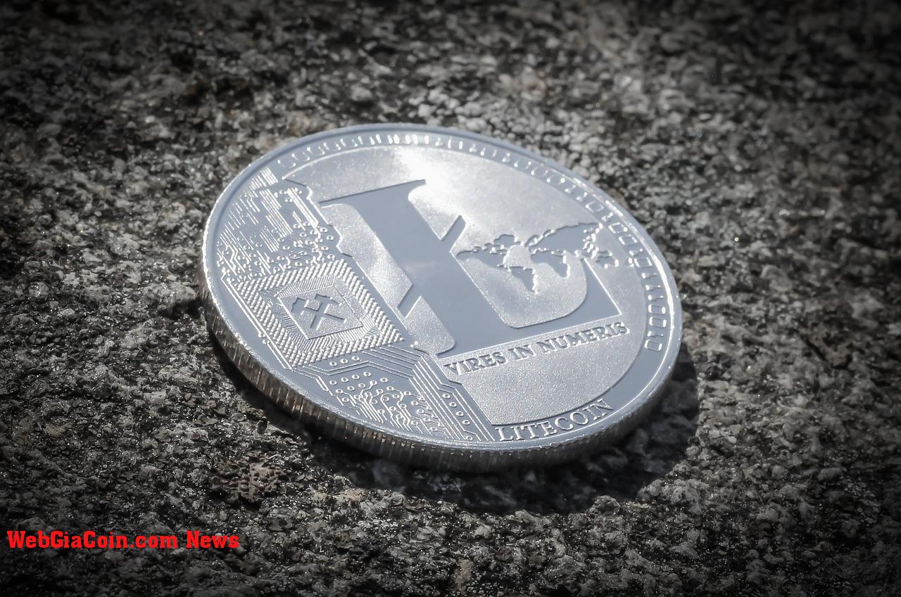 Giá Litecoin tăng vọt sau khi DOGE đánh dấu mức tăng trưởng lịch sử