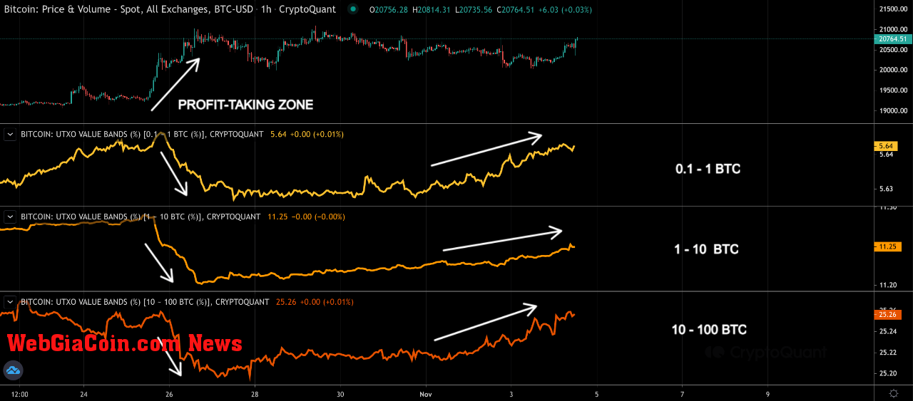 Bitcoin Whale Accumulation