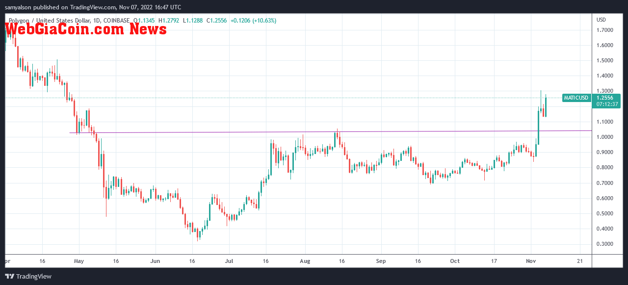 Polygon daily chart