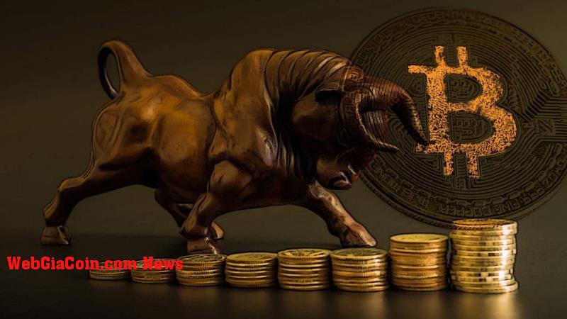 Bitcoin (BTC) có vẻ mạnh trên 20.500 đô la, đây là mức Chính cần theo dõi