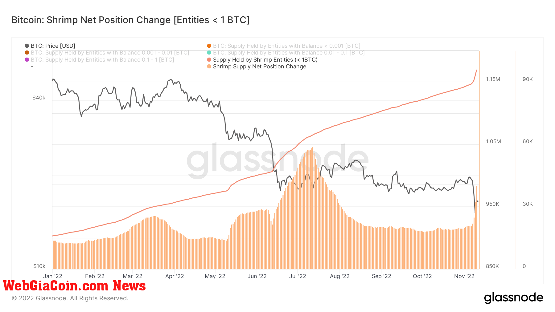 Shrimps Bitcoin Accumulation