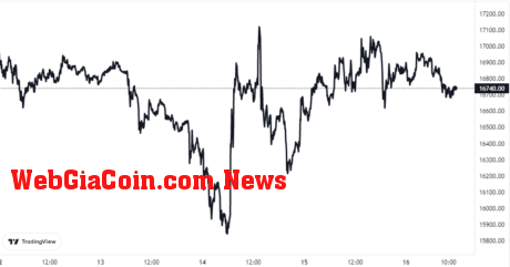 Bitcoin Price Chart