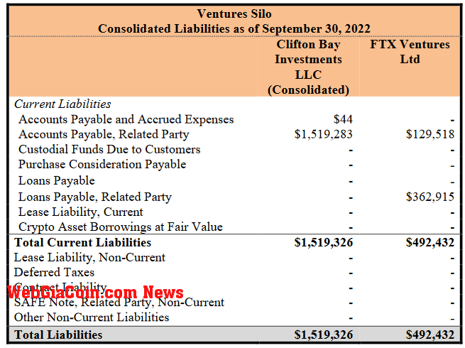 Venture Silo Liabilities