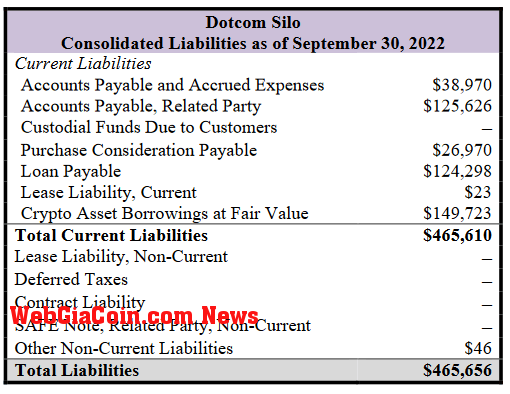 Dotcom Silo Liabilities