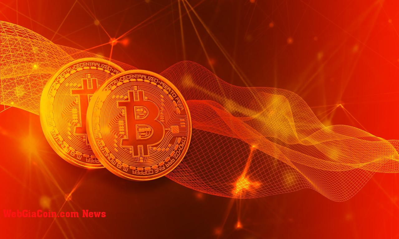 Bitcoin giữ dài hạn phải đối mặt với căng thẳng tài chính chính