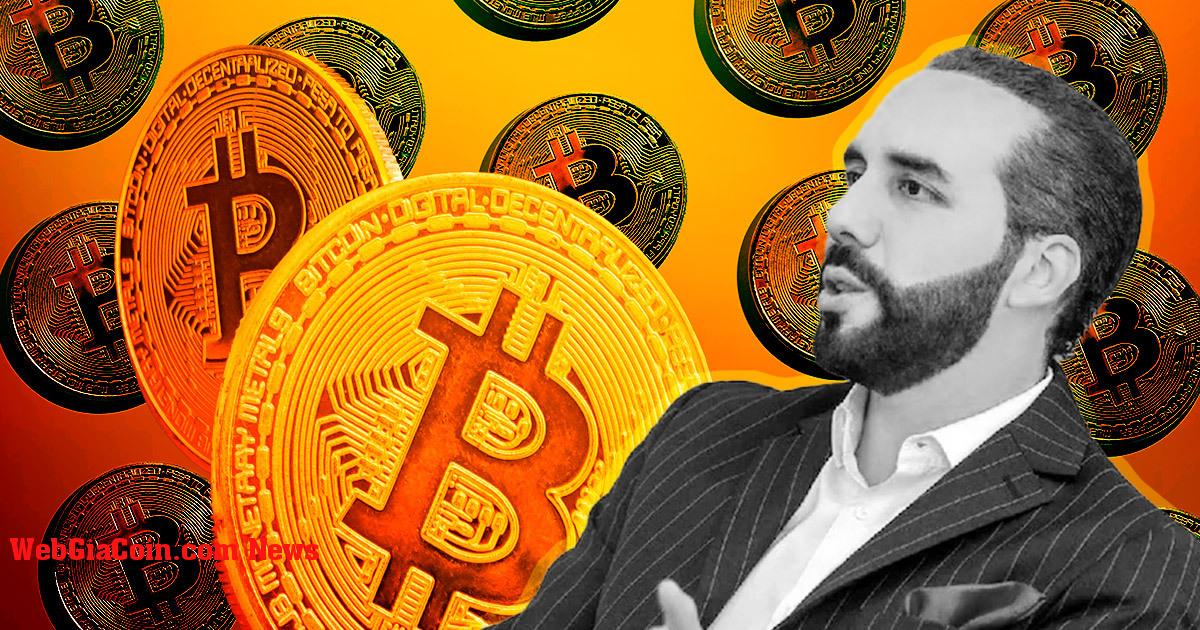 Tổng thống Bukele tiết lộ El Salvador sẽ mua 1 Bitcoin mỗi ngày