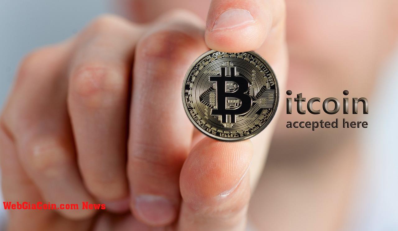 Nền tảng giao dịch tiền điện tử ghi nhận dòng tiền chảy ra khổng lồ của Bitcoin, điều này cho thấy điều gì?