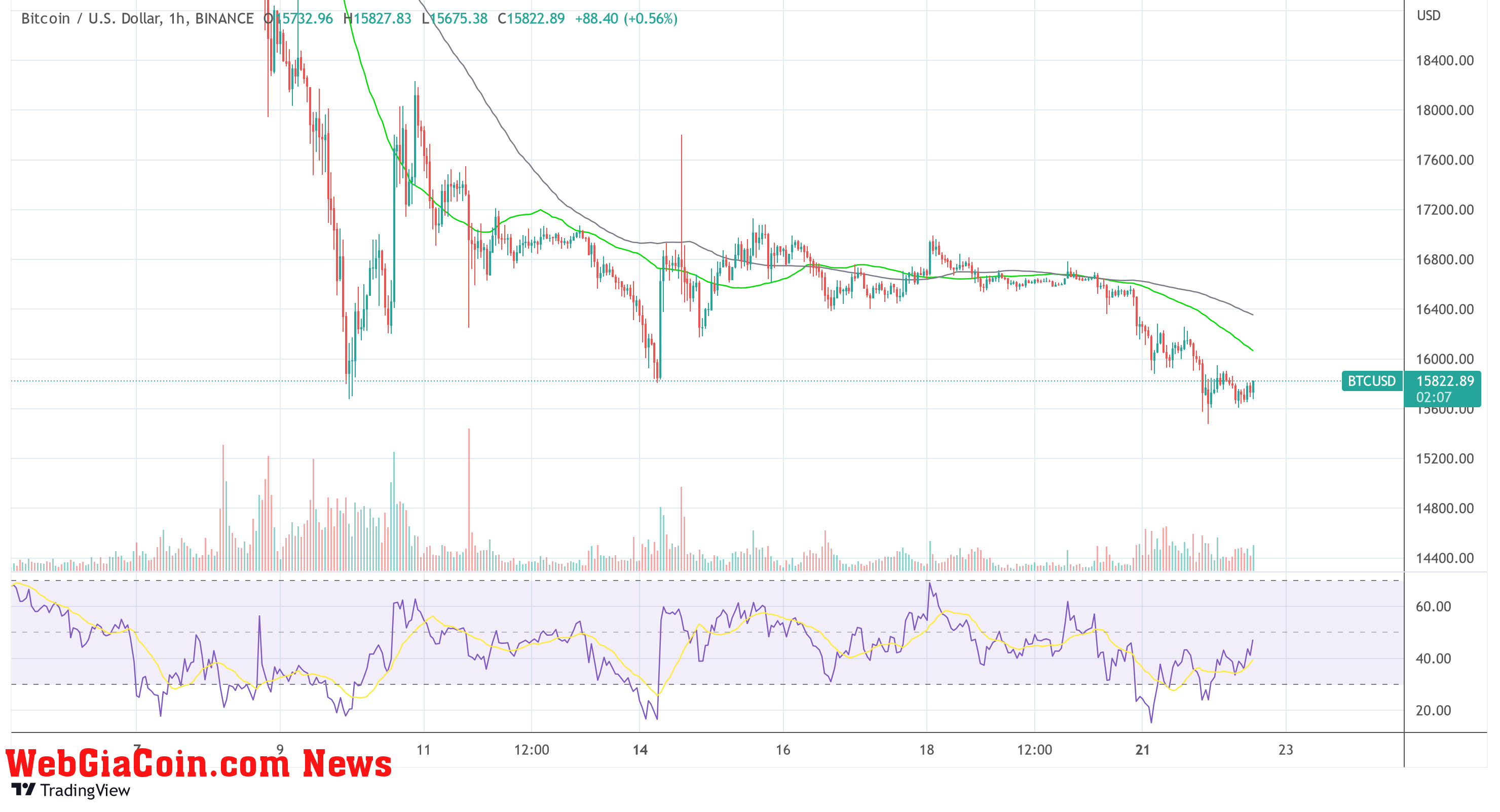 Bitcoin BTC USD_2022-11-22