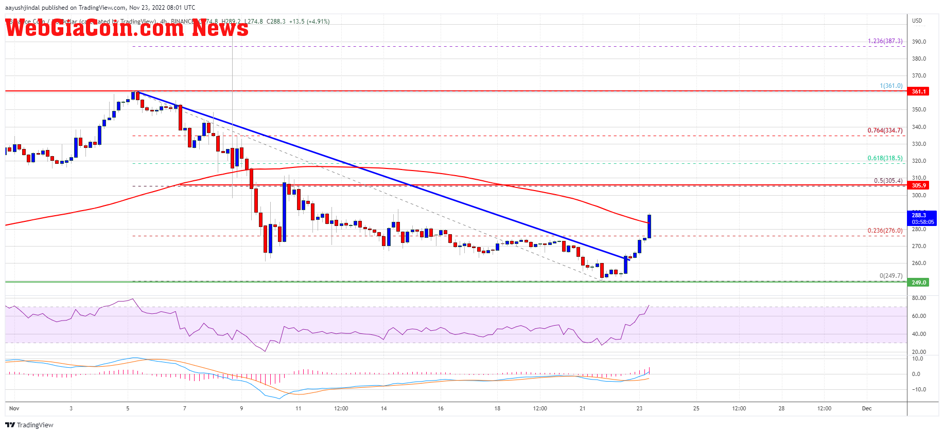 Binance Coin Price 