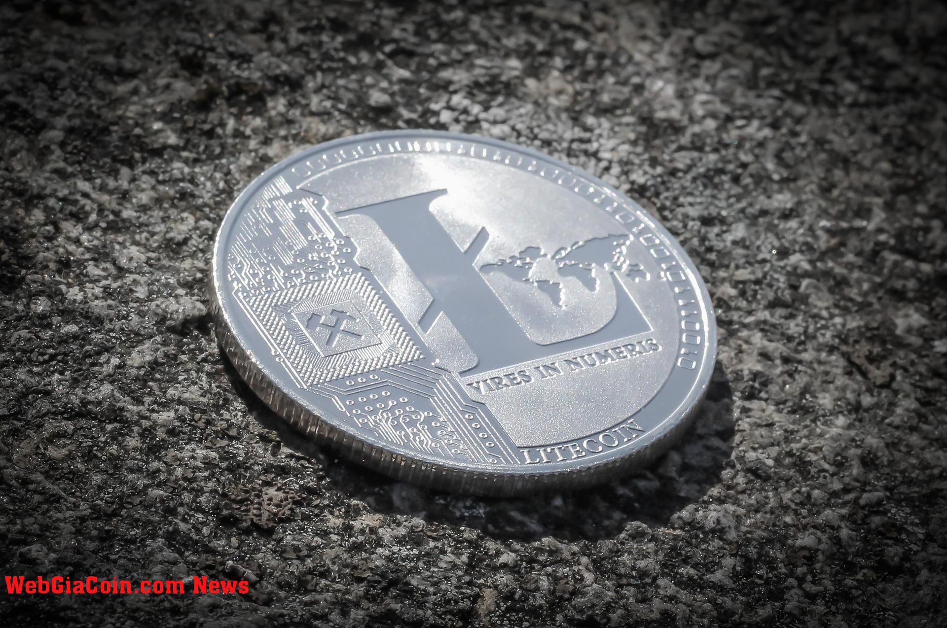 Cá mập Litecoin đẩy giá lên hơn 75 đô la, LTC có khả năng tiếp tục tăng