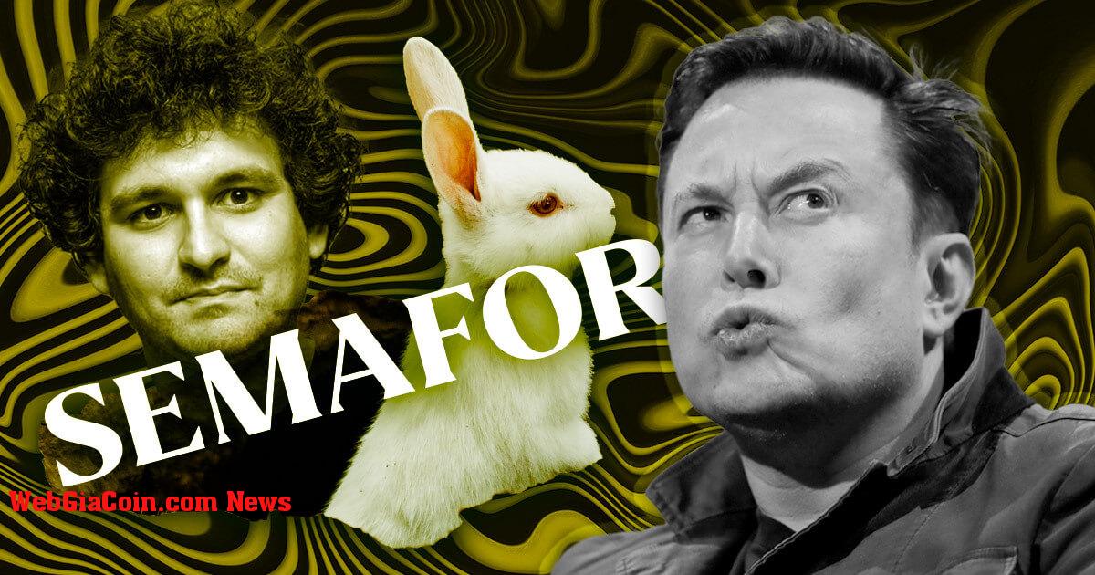 Elon Musk, cáo buộc Semafor đào hố thỏ 