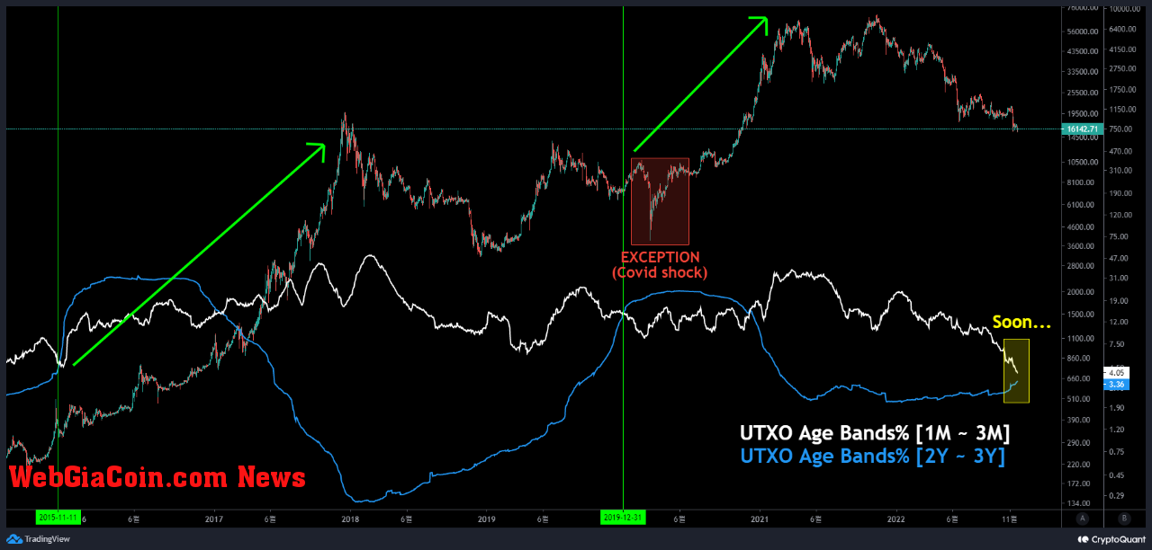 Bitcoin UTXO Age Bands