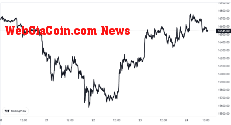 Bitcoin Price Chart