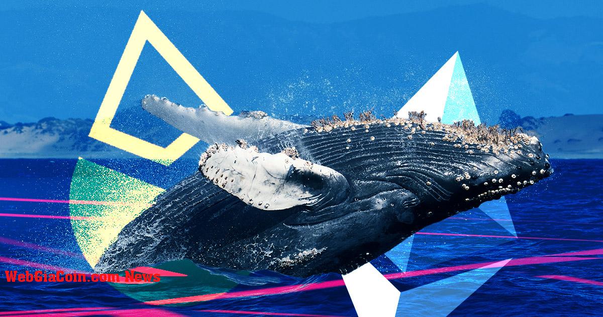 Các khoản rút Ethereum khổng lồ được đặt cọc bởi cá voi cho phép các nhà kinh doanh chênh lệch giá kiếm được lợi nhuận