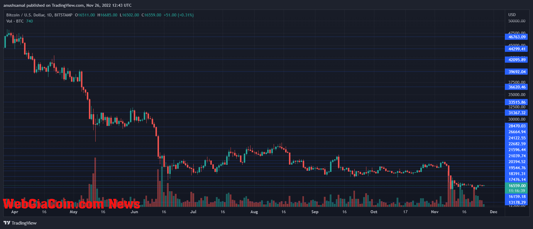 Bitcoin Price