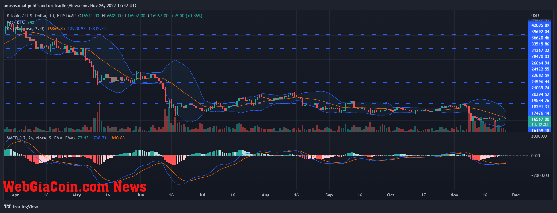 Bitcoin Price