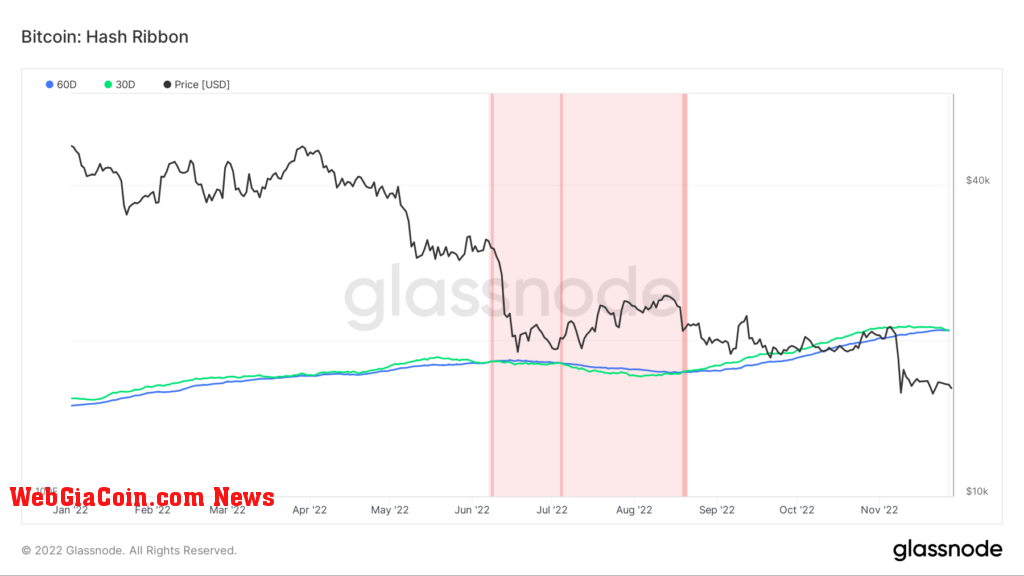 glassnode-studio_bitcoin-hash-ribbon__19_