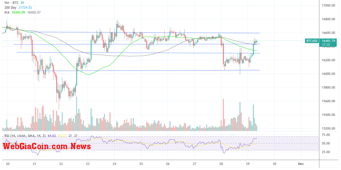 BTC USD 2022-11-29