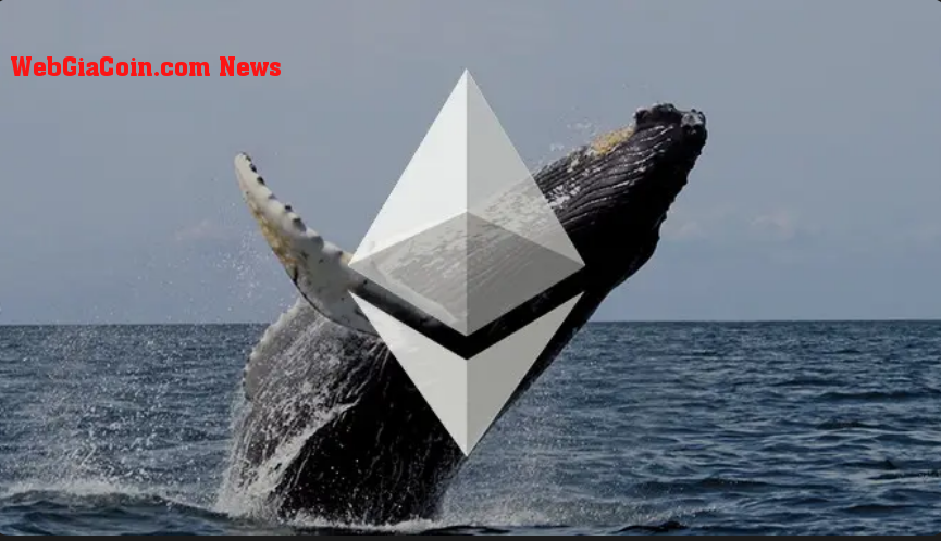 Ethereum Whales Chạy trước Di chuyển chính, khi giao dịch Dữ liệu gợi ý