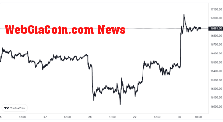 Bitcoin Price Chart