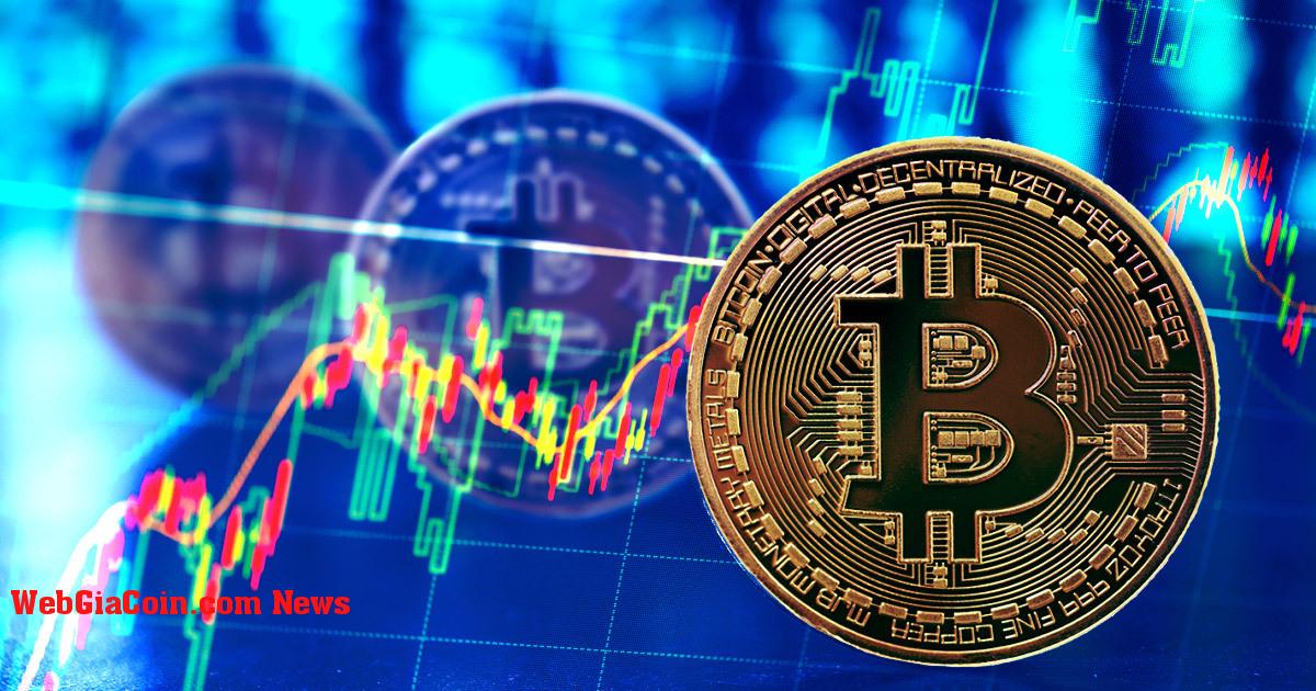 Nghiên cứu: Mô hình Halving Bitcoin cho thấy giá sẽ vượt qua mức cao hơn, giá trị thực