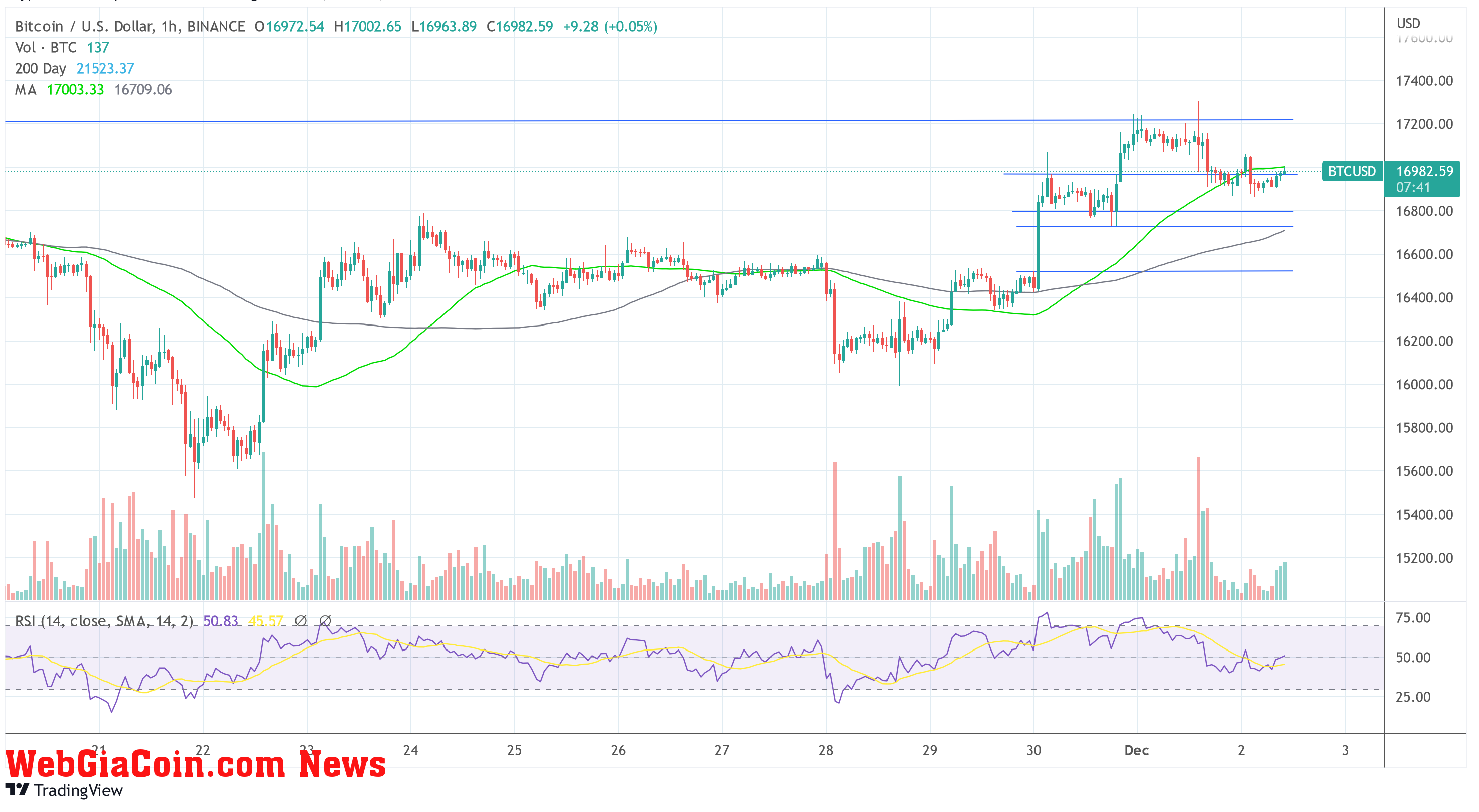 Bitcoin BTC USD 2022-12-02